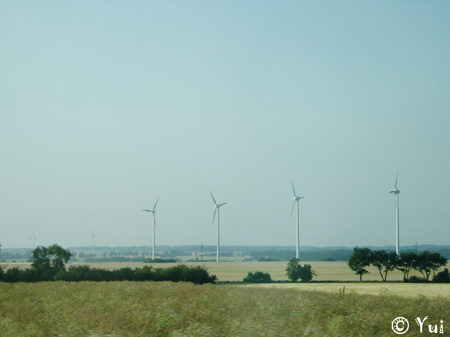 DSCN8130