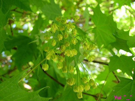 DSCN9169