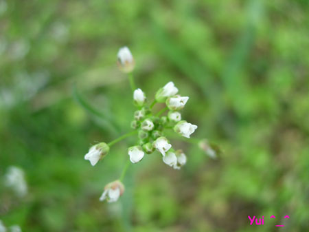 DSCN9274