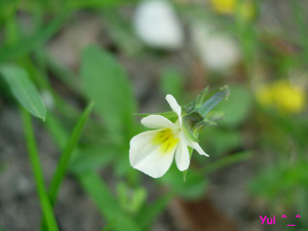 DSCN9289
