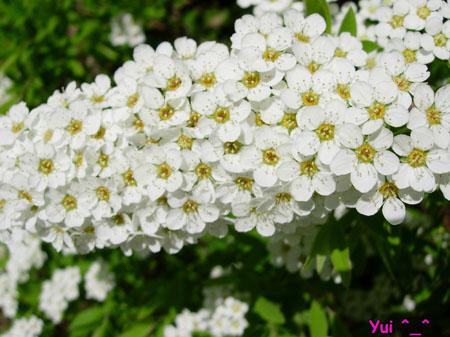 DSCN9426