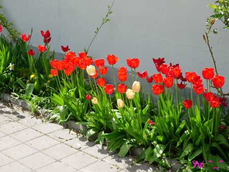 DSCN9446