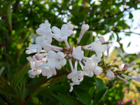 DSCN9546