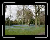 DSCN3310 * 2048 x 1536 * (1.79MB)