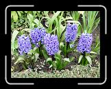 DSCN3314 * 2048 x 1536 * (1.85MB)