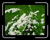 DSCN3582 * 2048 x 1536 * (2.05MB)