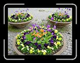 DSCN3585 * 2048 x 1536 * (1.77MB)