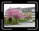 DSCN3590 * 2048 x 1536 * (1.43MB)