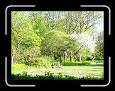 DSCN3722 * The botanical garden * 2048 x 1536 * (623KB)