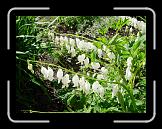 DSCN3745 * 2048 x 1536 * (1.71MB)