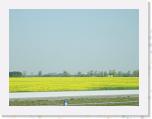 DSCN3457 * Raps field! * 2048 x 1536 * (1.1MB)