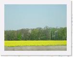 DSCN3458 * 2048 x 1536 * (1.28MB)