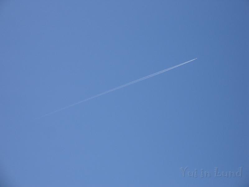 DSC02230.JPG - มอนสเต้อ ...