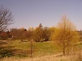 DSC02242