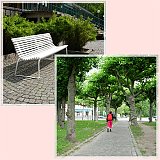 After_the_rain01