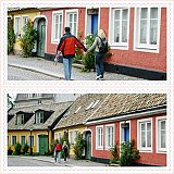 After_the_rain09