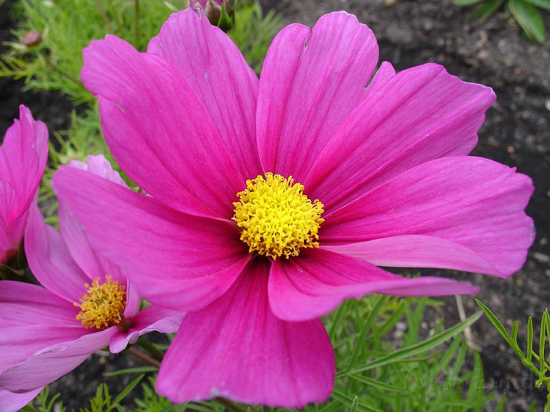 DSC03125.JPG