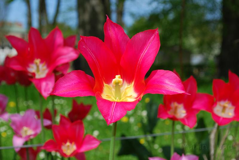 DSC_0139.JPG - โอว แม่เจ้า...