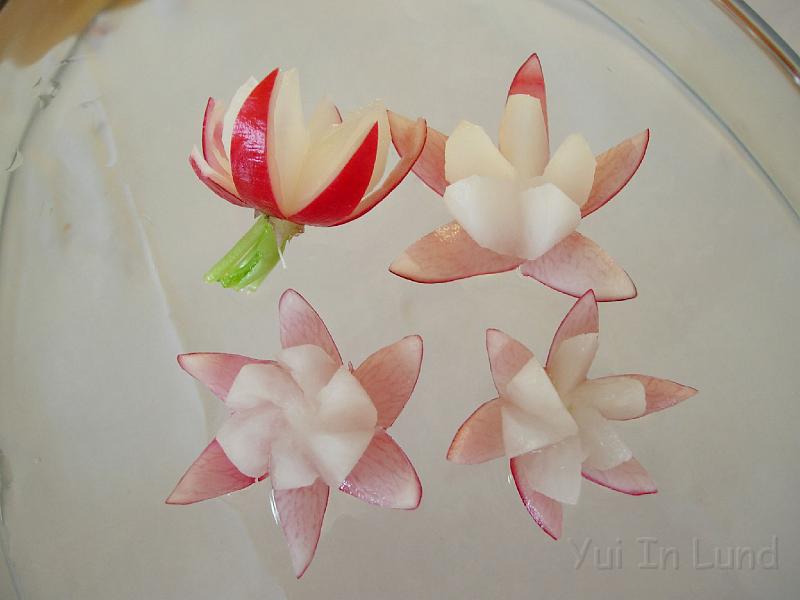 Carving16.JPG - อันนี้ฝีมือยุ้ยเอง ฮ่าๆ ๆ เด็กน้อยก็เงี้ยแหละ  ฝรั่งที่บ้านชอบกินแรดดิชก็เลยเล่นกะมันอยู่นั่นแหละ