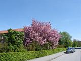 DSC02667