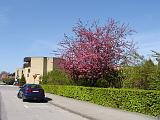 DSC02668