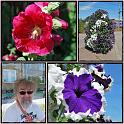 Hoor_01