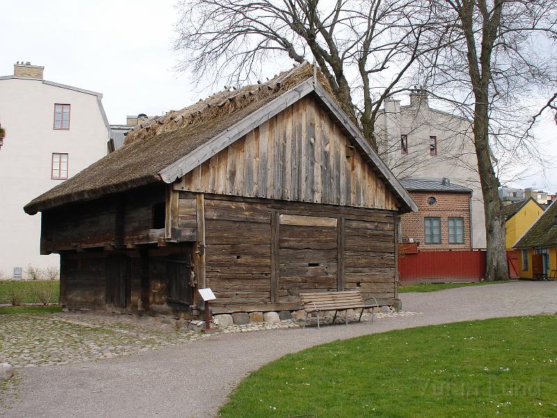 DSC01755.JPG