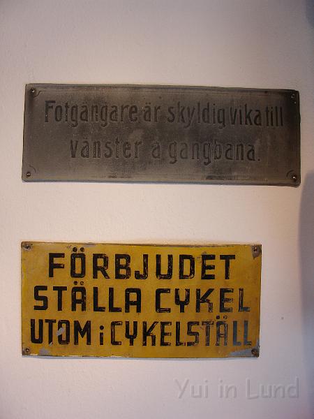 DSC01781.JPG