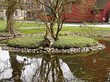 DSC01740