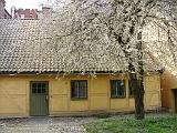 DSC01859