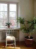 DSC01931