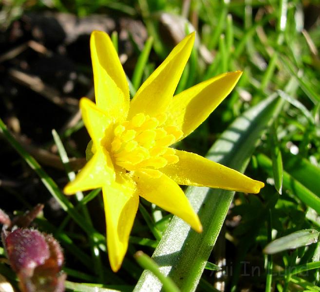 DSCN4483.JPG