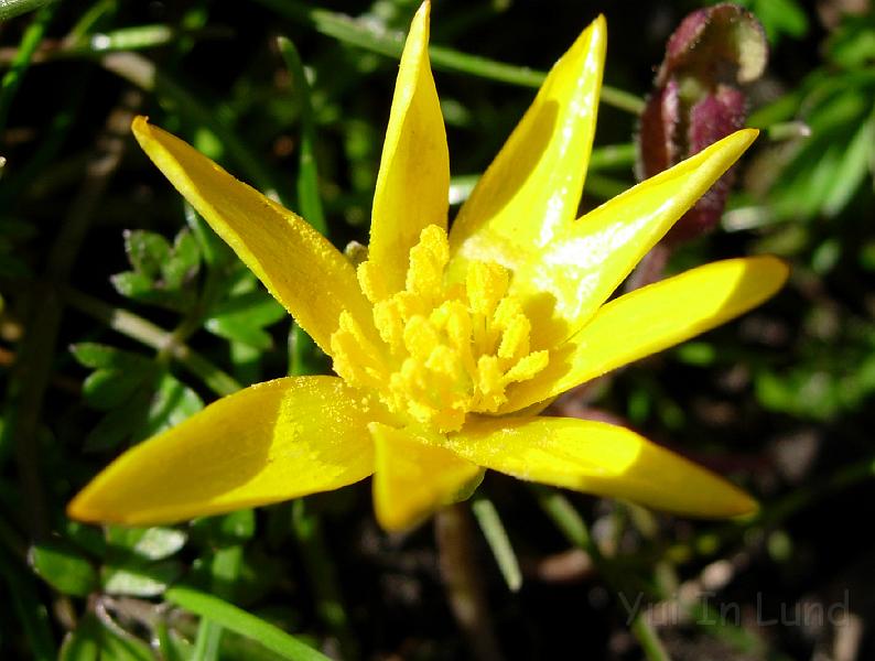 DSCN4489.JPG