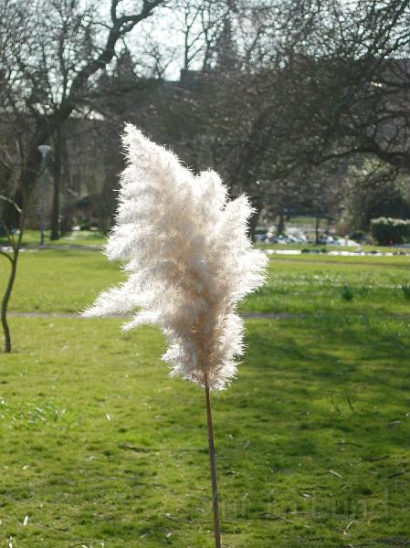 DSCN4563.JPG