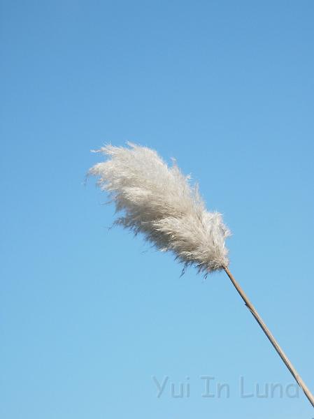 DSCN4569.JPG