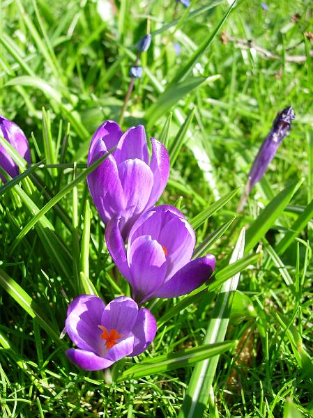 DSCN4604.JPG