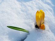 DSCN4517