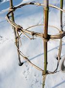DSCN4528