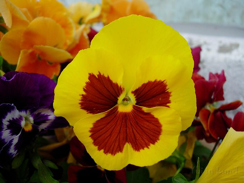 DSCN5424.JPG