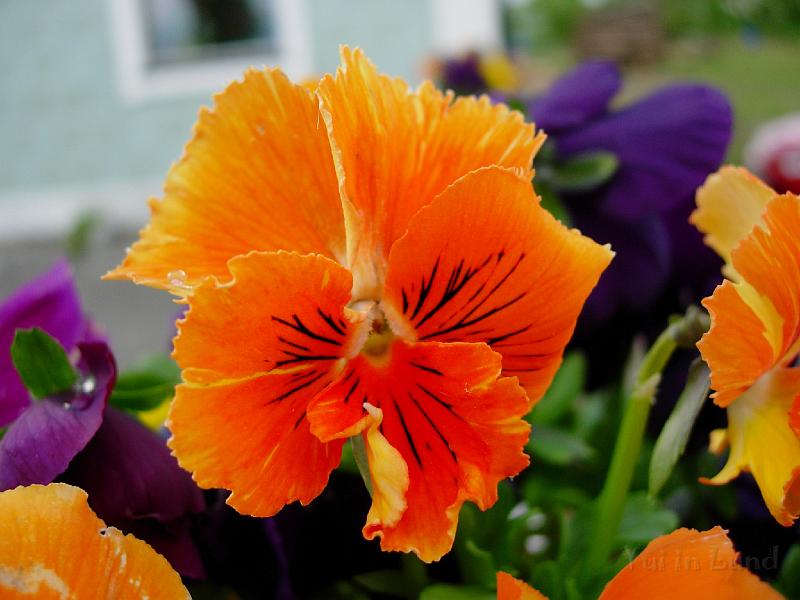 DSCN5436.JPG
