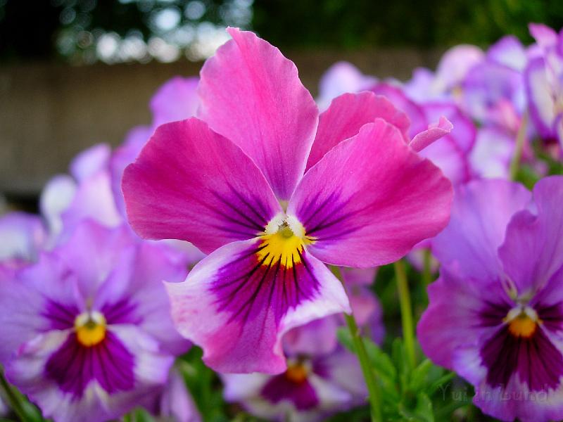 DSCN5551.JPG