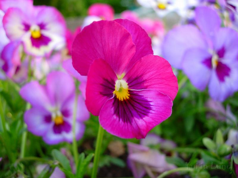 DSCN5552.JPG