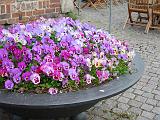 DSCN5574