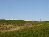 DSC02166