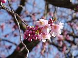 DSC00640
