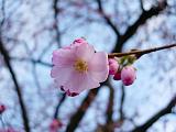 DSCN4862