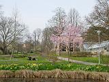 DSCN5120