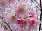 DSCN5128