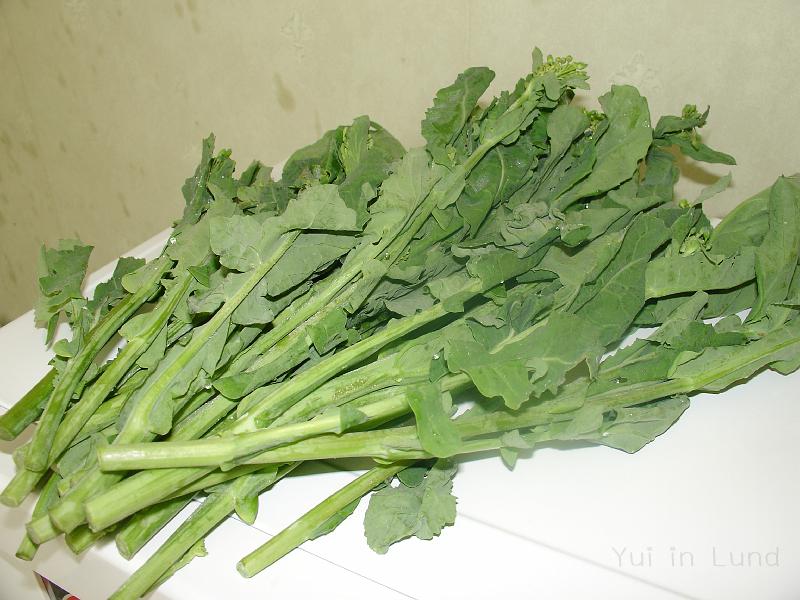DSC_0273.JPG - ก่อนกลับบ้านซื้อยอดรับส์มาด้วย ป้าแกปลูกไว้ที่สวนหลังวัด