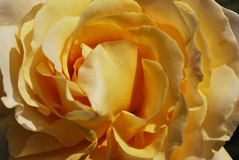DSC_0026.JPG